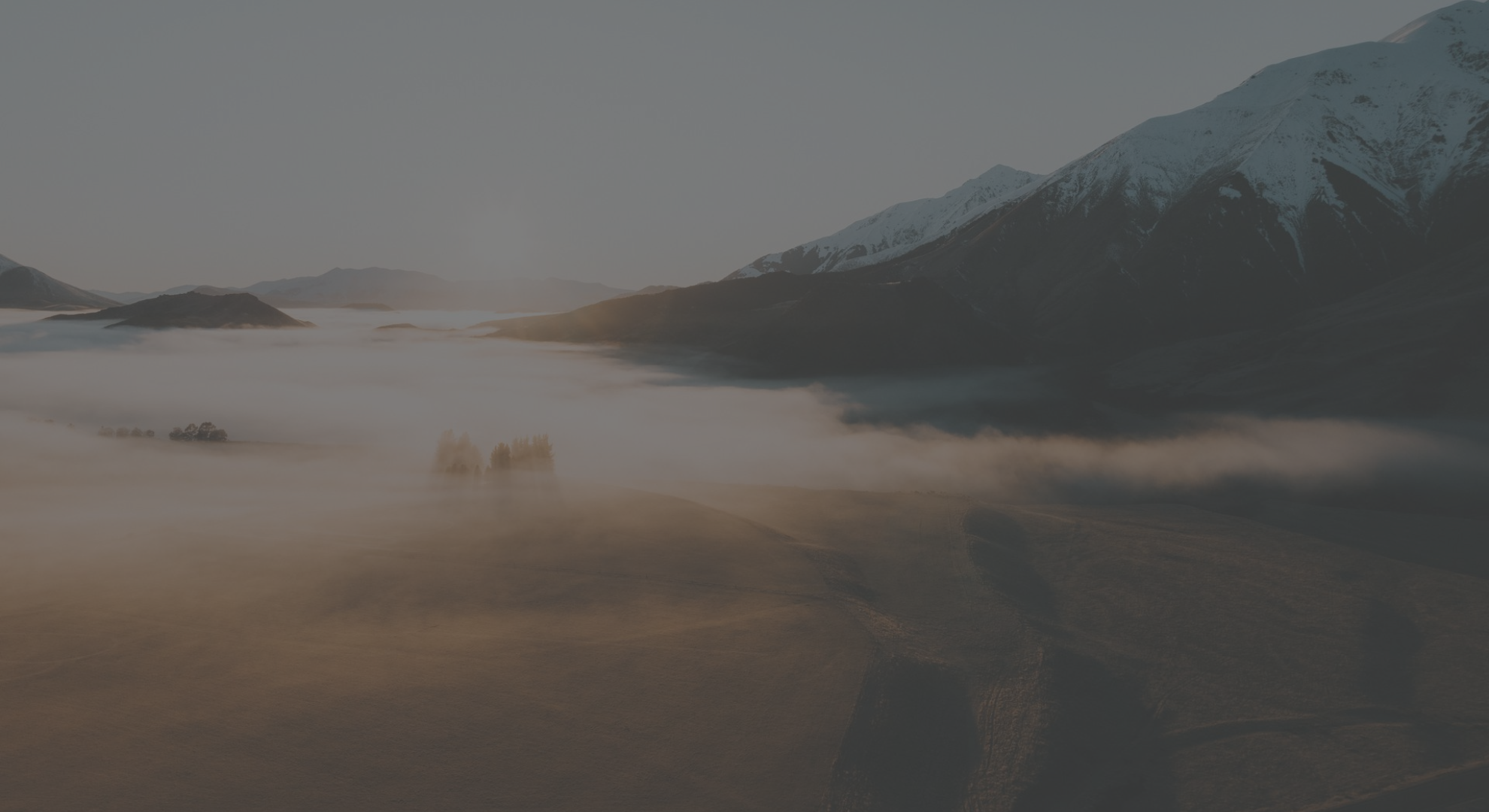 Contact Us - Homepage (1)