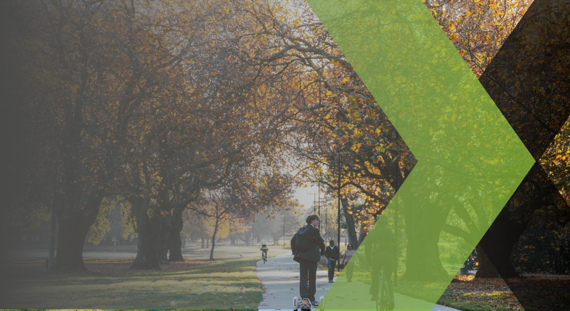 Privacy Policy - Hero